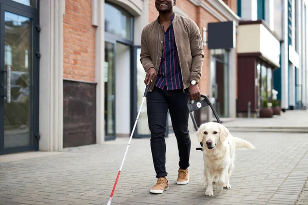 Joven ciego con palo y perro guía paseando —  Fotos de Stock