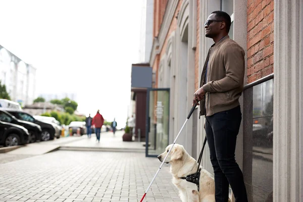 African american disabled man with helpful dog — Stock Photo, Image