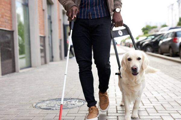 golden retriever assist black afro man