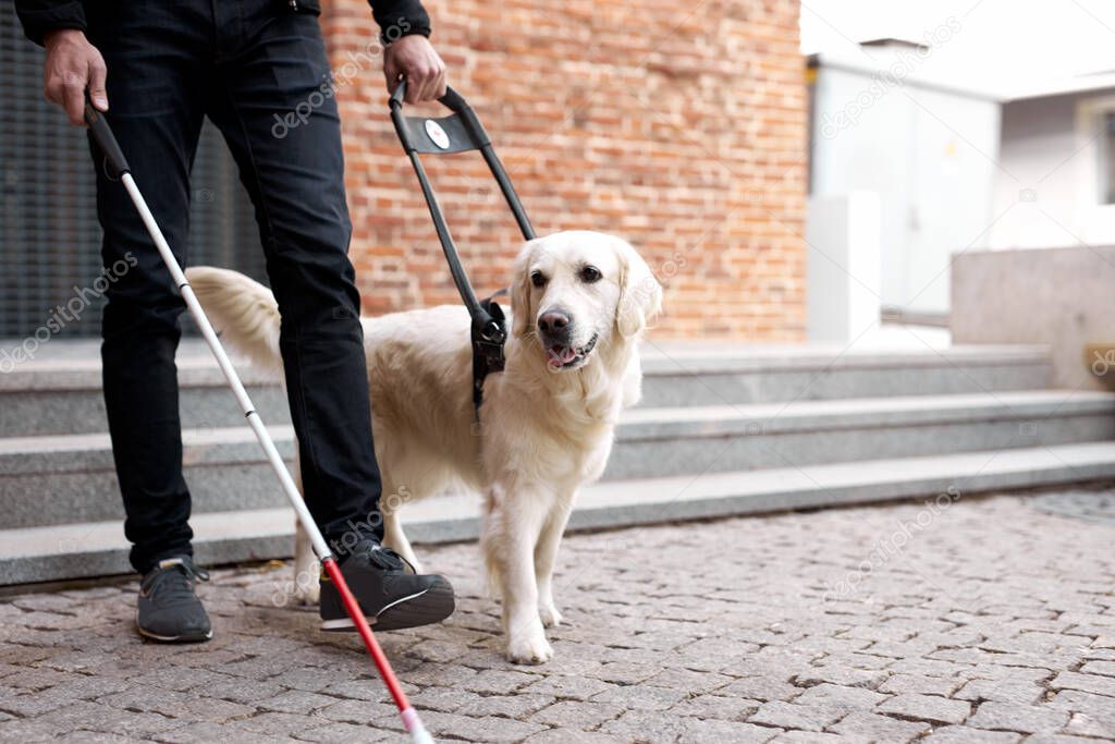 unrecognizable blind man with helpful dog guide