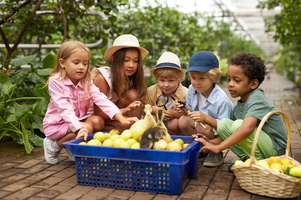 children get to know the world around them, the greenhouse is a great place for an excursion