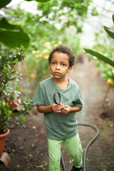 Tatlı melez çocuk serada büyüteç kullan, çevreyi öğren — Stok fotoğraf