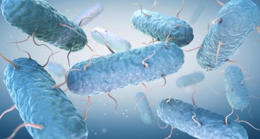 Girişim bakterisi. Enterobacteriaceae, Gram-negatif bakterilerin büyük bir ailesidir. 3B illüstrasyon