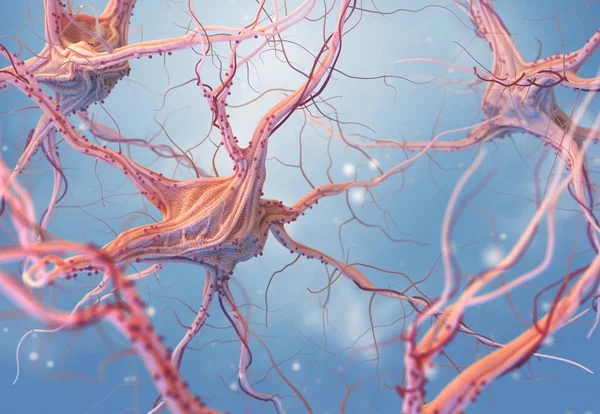 Neurons Sinir Sistemi Sinir Hücrelerinin Render Çizim — Stok fotoğraf