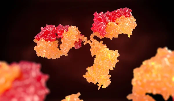 人类抗体 免疫球蛋白 — 图库照片