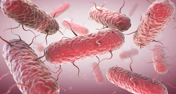 Enterobakterie Enterobacteriaceae Jsou Velkou Čeledí Gramnegativních Bakterií Ilustrace — Stock fotografie