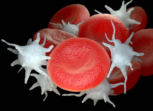 Red blood cells and activated platelets or thrombocytes — Stock Photo, Image