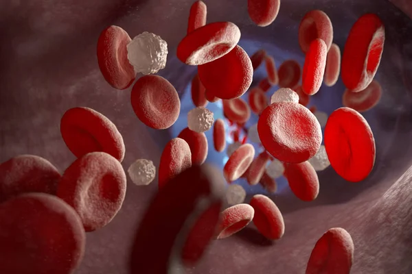 Rode en witte bloedcellen en in de ader — Stockfoto