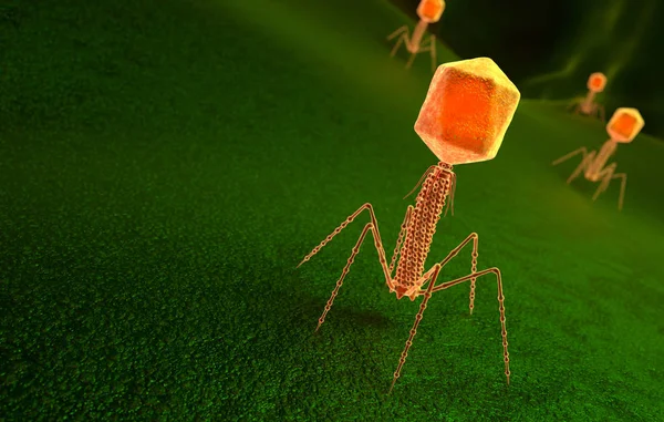 細菌表面上のバクテリオファージウイルス粒子 — ストック写真