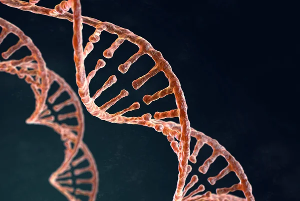 Volet spirale de l'ADN sur le fond sombre — Photo