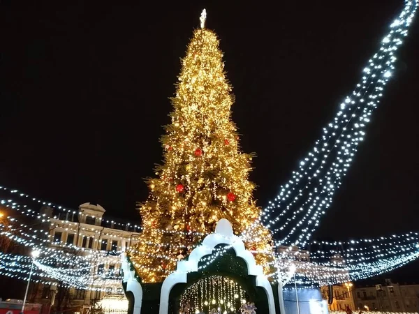 Christmas Tree Kyiv — Stock Photo, Image