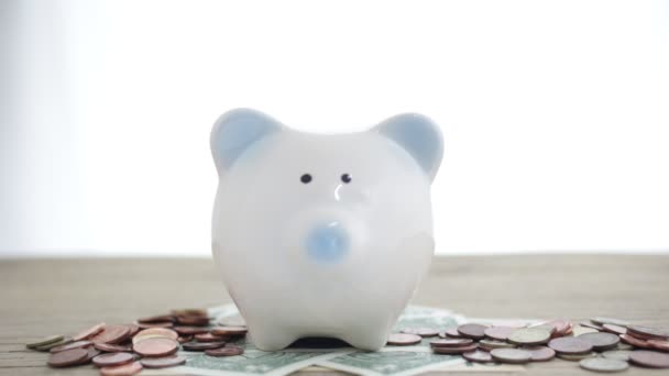 Close Hand Putting Coin Piggy Bank Economizando Conceito Dinheiro — Vídeo de Stock