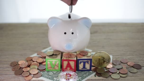 Close Hand Putting Coin Piggy Bank Vat Concept — Stock Video