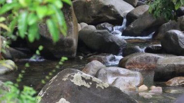 Yağmur damlası ve balık doğada, kuzeyinde Tayland şelale.