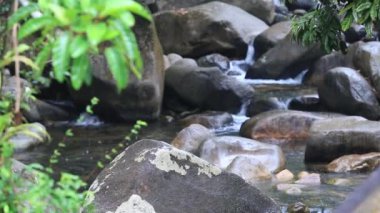 Yağmur damlası ve balık doğada, kuzeyinde Tayland şelale.
