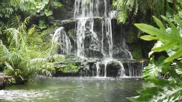 在花园里的小瀑布 — 图库视频影像