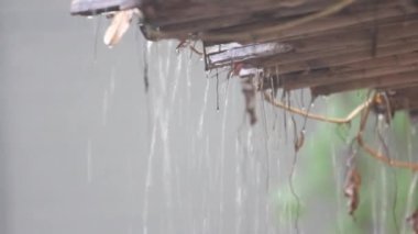 bahçedeki küçük şelale.