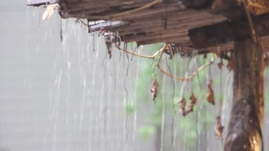 bahçedeki küçük şelale.