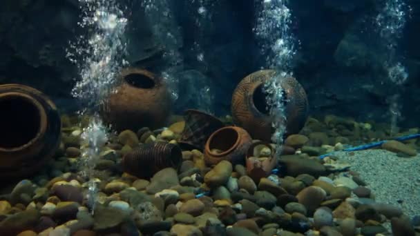 Beautiful Aquarium Decoration Oxygen Machine Fish Tank — Stock Video