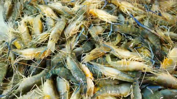 海鲜市场中的海虾 — 图库视频影像