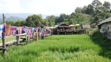 Nan, Tayland Ekim, 13-2018: insanlar ziyaret edin ve Ban-Tai-Lue Caf Pua bölge, Nan Tayland yeşil teraslar pirinç alan ile kahve içmek. Güzel yerli kumaş ile dekore edilmiş cafe yer.