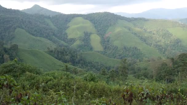 Une Belle Beauté Naturelle Sur Montagne Province Nan Thaïlande — Video