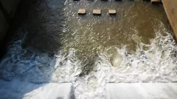 Barrera Agua Para Mantener Agua Para Agricultura — Vídeos de Stock