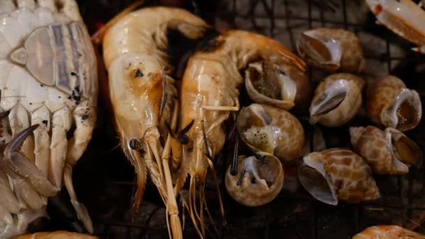 조개와 해산물 요리에 — 비디오