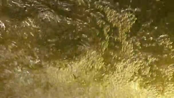 Balık Tankında Güzel Akvaryum Dekorasyonu Oksijen Makinesi Altında Hava Kabarcıkları — Stok video