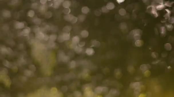 Розмита Повітряна Бульбашка Кисневої Машини Абстрактний Розмитий Фон Боке — стокове відео