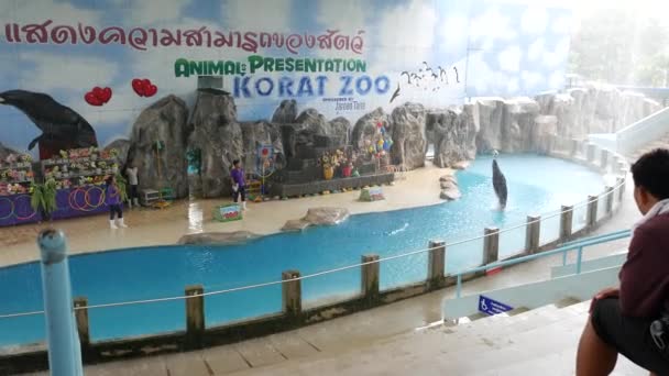 Nakhon Ratchasima Tailândia Outubro 2018 Espetáculo Acrobático Leões Marinhos Zoológico — Vídeo de Stock