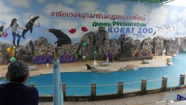 Nakhon Ratchasima Thailand Oktober 2018 Seelöwe Akrobatische Show Nakhon Ratchasima — Stockvideo