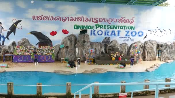 Nakhon Ratchasima Thaïlande Octobre 2018 Spectacle Acrobatique Otaries Zoo Nakhon — Video