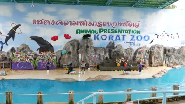 Nakhon Ratchasima Thailand October 2018 Sea Lion Acrobatic Show Nakhon — Stock Video