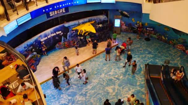 Thailand Bangkok Dezember 2018 Sea Life Bangkok Ocean World Aquarium — Stockvideo