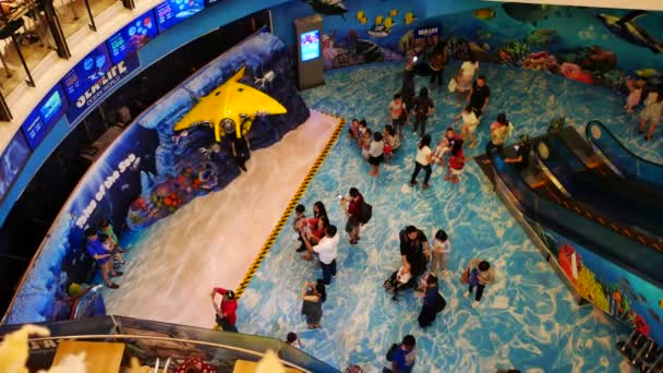Thailand Bangkok Dezember 2018 Sea Life Bangkok Ocean World Aquarium — Stockvideo