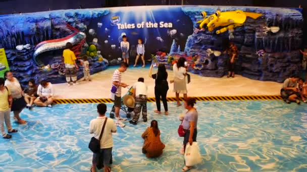 Thailand Bangkok December 2018 Sea Life Bangkok Ocean World Aquarium — Stockvideo