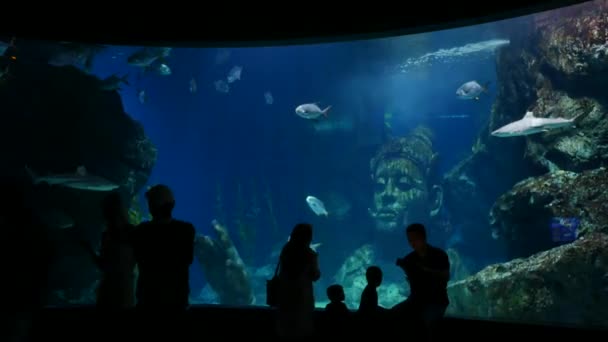 Tajlandia Bangkok Grudnia 2018 Akwarium Sea Life Bangkok Ocean World — Wideo stockowe