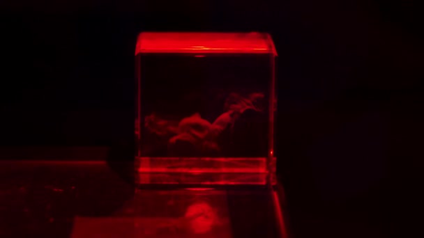 带激光打标机的3D玻璃蚀刻 — 图库视频影像