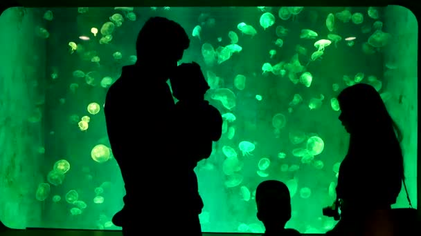 チョンブリー 2019 クローズ アップ ネオンの光で水槽にクラゲ 人訪問 研究所の海洋科学のブラパー大学 — ストック動画