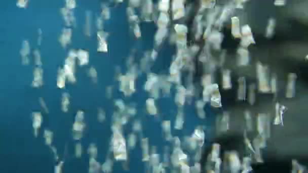 鱼缸中漂亮的水族馆装饰和氧气机 水下气泡 — 图库视频影像