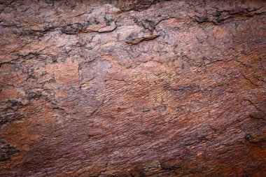 Taş doku arka plan, doğal yüzey, Closeup granit arka plan, Kaya doku arka plan