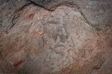 Taş doku arka plan, doğal yüzey, Closeup granit arka plan, Kaya doku arka plan