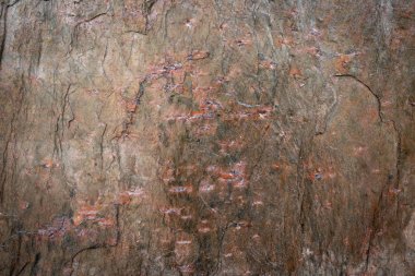 Taş doku arka plan, doğal yüzey, Closeup granit arka plan, Kaya doku arka plan