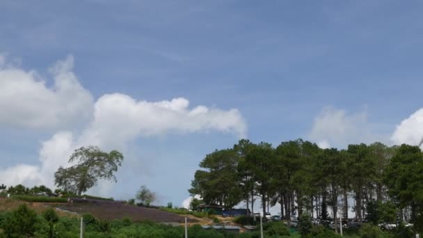 Turbinas Eólicas Líneas Eléctricas Nube Cielo Fondo Sistema Energía Limpia — Vídeo de stock