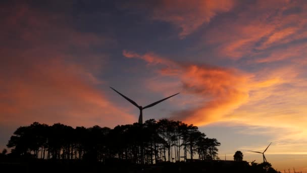 Windräder Und Stromleitungen Gegen Den Sonnenuntergang Das Saubere Energiesystem Distrikt — Stockvideo