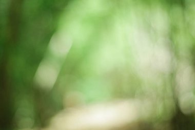 Soyut bokeh arka plan, Doğa arka plan