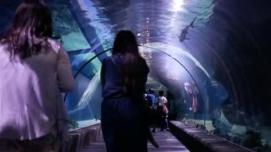Tayland, Bangkok - 24 Ekim 2019: Siamparagon alışveriş merkezinde Sea Life Bangkok Okyanus Dünya Akvaryumu, Bangkok, Tayland.