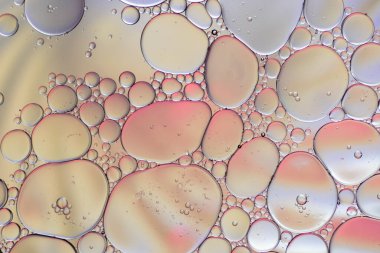 Suyun üzerinde yüzen yağ damlasının renkli sanatçısı.