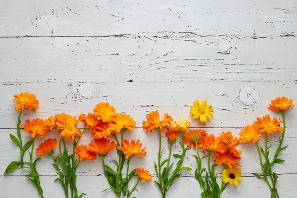 Pot Marigold Fleurs Sur Table Bois Blanc — Photo